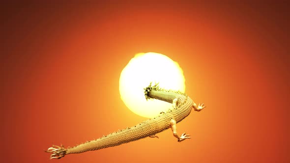 Chinese dragon move pass camera to the sun with heat haze effect.