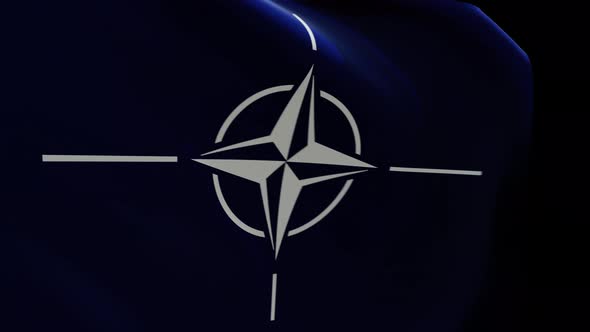 Nato Flag 4K Alpha Channel alt
