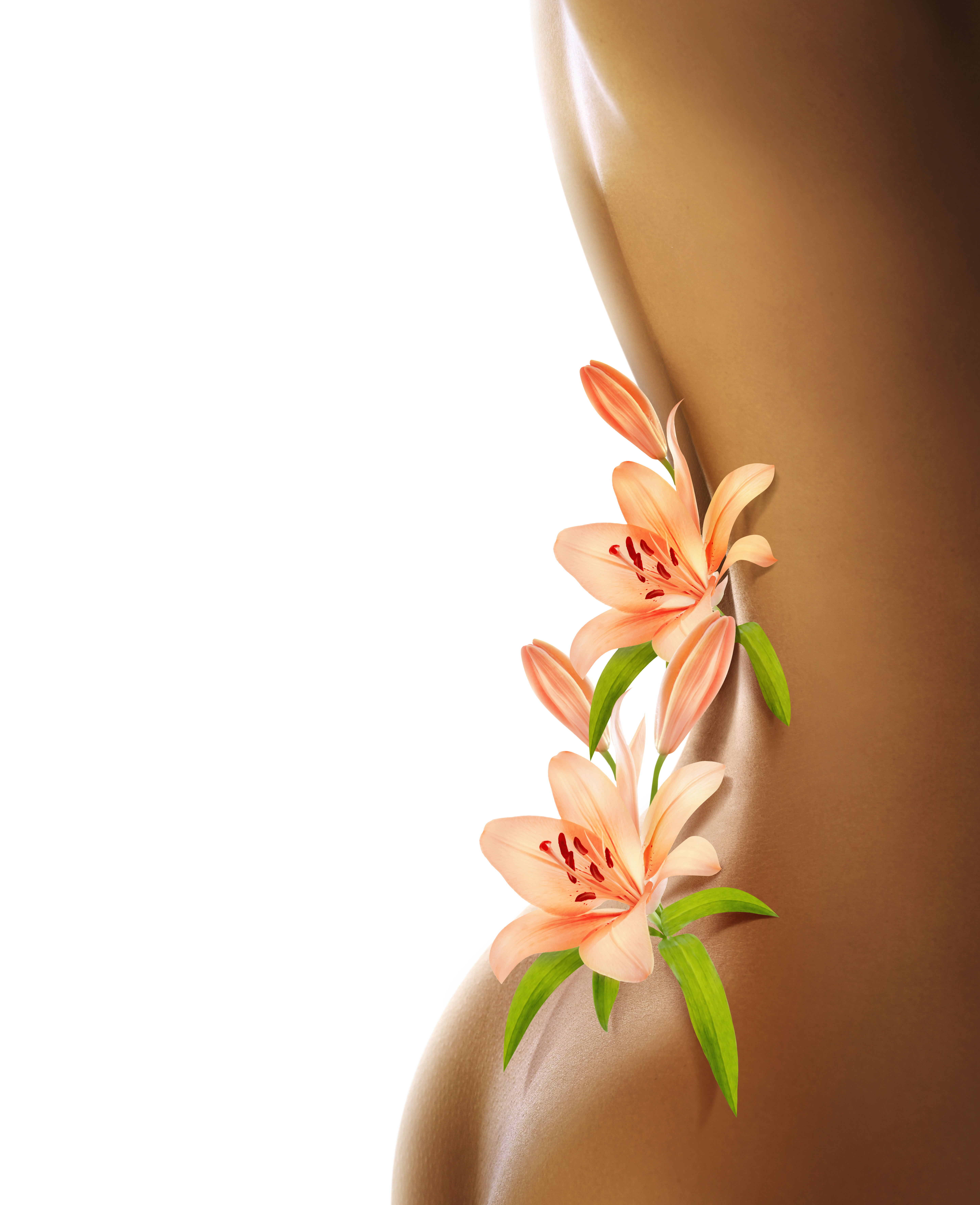 sexy_beauty_back_04_hd_picture_168059