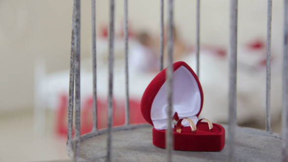 Wedding Rings in a Cell and the Bride and Groom 2