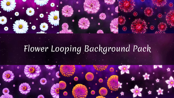 Flower Loop Background Pack