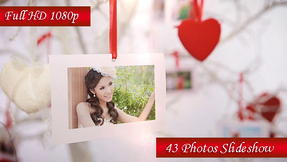 Photo Gallery On - VideoHive 7390240