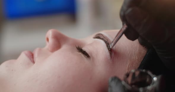 A Beautician Does Henna Eyebrow Tinting for the Young Woman Cosmetological Procedures and Beautycare
