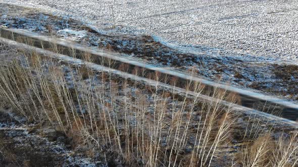 Birch forest protection strip along the road