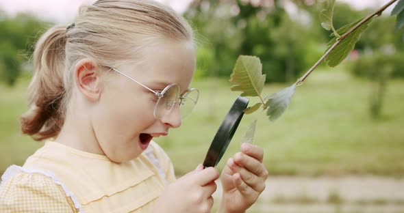 A Teenage Girl Looks Through the Magnifying Glass at the Micro World of Insects alt