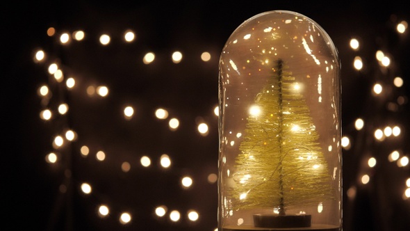 Christmas Tree Lights alt