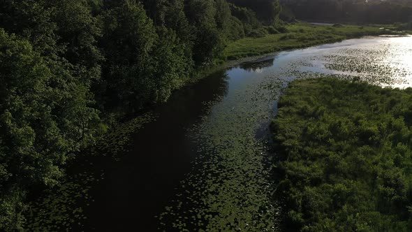 Top View of the Svisloch River in the City's Loshitsa Park with Lilies at Sunset alt