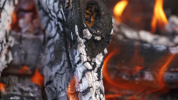 Embers in orange flame alt