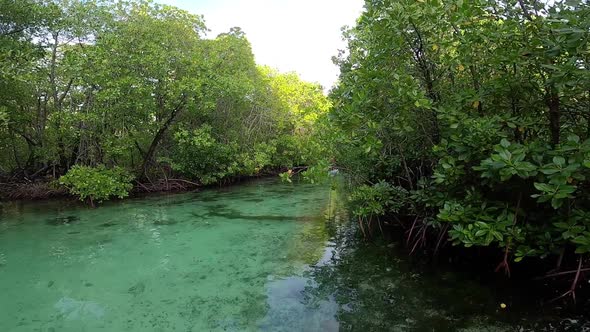 gliding through a clear mangrove river with a man standing on a paddleboard in the distance. peacefu alt