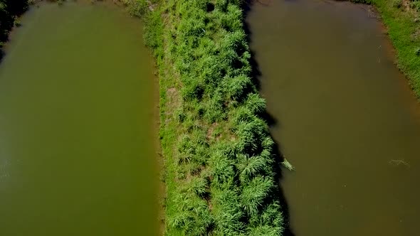 Drone tracking sideways over small fishing ponds on a fish farm in rural Brazil in the Tocantins reg alt