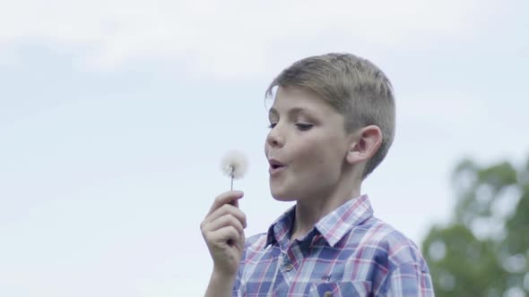 Boy blowing dandelion seedhead, slow motion alt