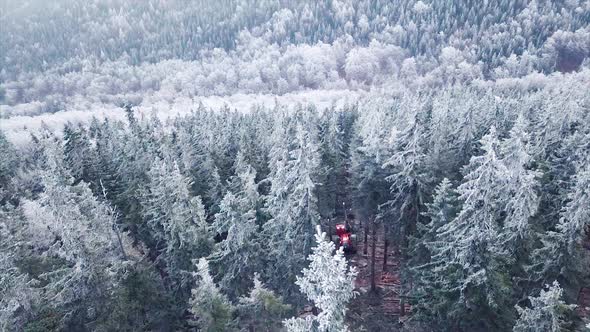 Wood Processing Factory. Aerial shot, Forest Logging Machinery Equipment