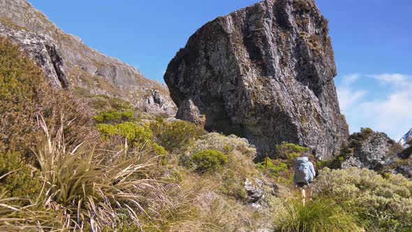 Slider, hiker walks past massive boulder in alpine landscape, Routeburn Track New Zealand alt