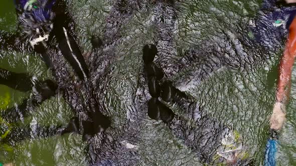 Aerial view of group of people forming a circle with their bodies in Soca river. alt