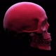 Rotating Skull - VideoHive Item for Sale