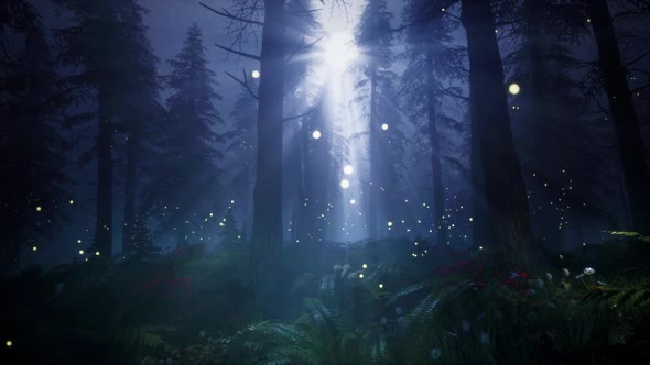 Moonlight in a magical forest HD