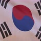 South Korea Flag 4K Seamless Loop - VideoHive Item for Sale