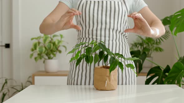 Woman in Apron Showing with Hands Heart Sign Above Small Ficus