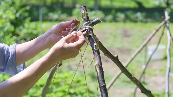 A Female Farmer Ties Sticks with a Thin String