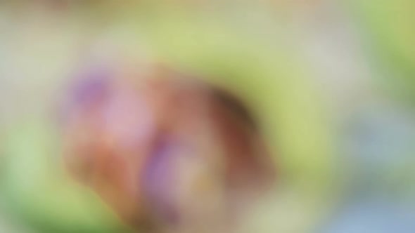 Fresh fish tacos with cod and purple cabbage on a white corn tortillas. alt