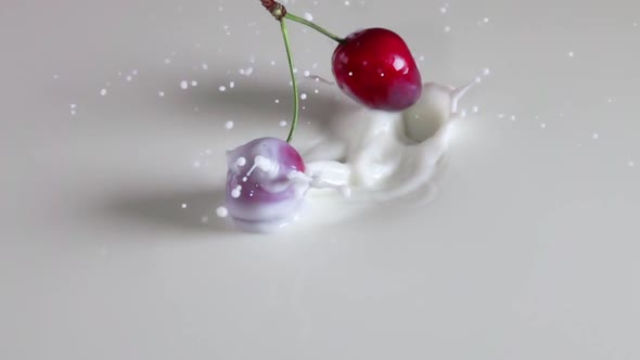 Pair of Sweet Cherries Falls Into Milk