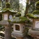 Stone Lanterns in Kasugataisha Shrine Nara Japan - VideoHive Item for Sale