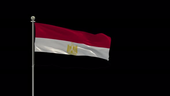 Egypt Flag Medium Shot Waving Looping Animation Include Alpha