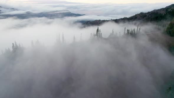 Mountains and Trees in Dense Fog and Clouds alt