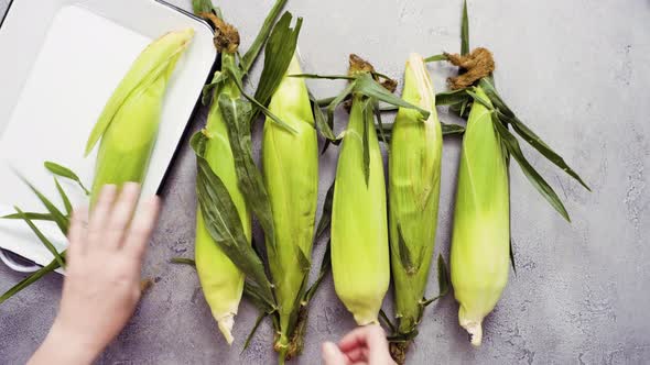 Step by step. Shucking organic corn to make Mexican corn on the cob Elote. alt