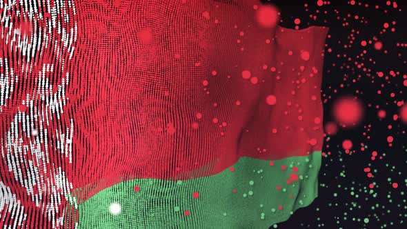 Belarus Flag Particle Animation alt