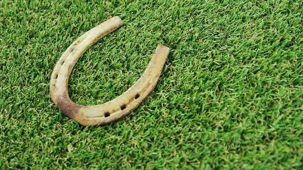 horse shoe on grass for st patricks day alt
