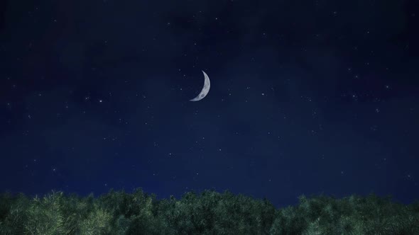 Half Moon Background