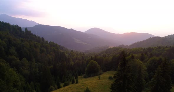 Fly over autumn mountain  forest in sunrise soft light. Big mountain covered with snow alt