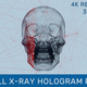 Human Skull X-Ray Hologram Pack - VideoHive Item for Sale
