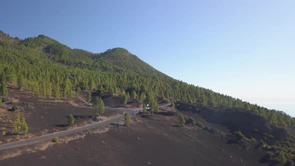 Volcanic Landscape and Pine Forest