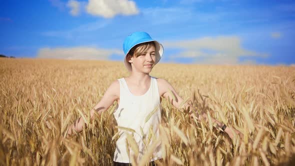 Happy Boy in a Blue Hat Walks on a Golden Wheat Field on a Sunny Day Against the Backdrop of a