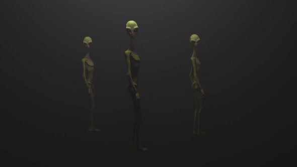 Aliens in the Fog alt