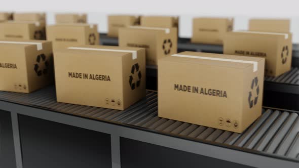 Boxes with MADE IN Algeria  Text on Conveyor alt