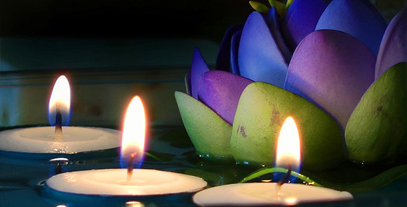 Candles and Waterlily alt