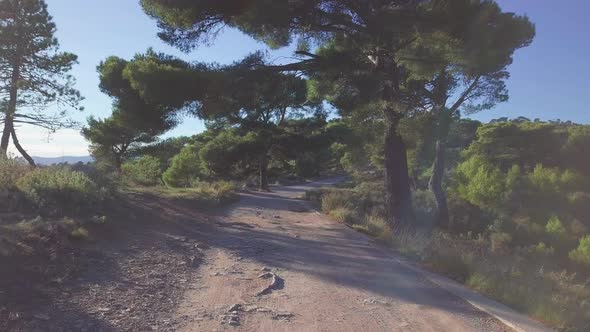 Dirt Unpaved Road alt