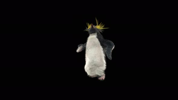 Penguin Dancing 4K alt