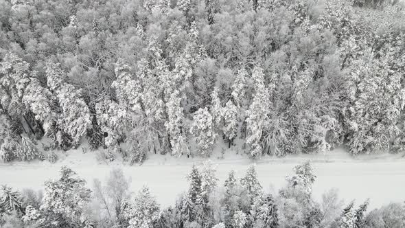 New Year's Winter Forest is Festively Covered with Snow Aerial View alt