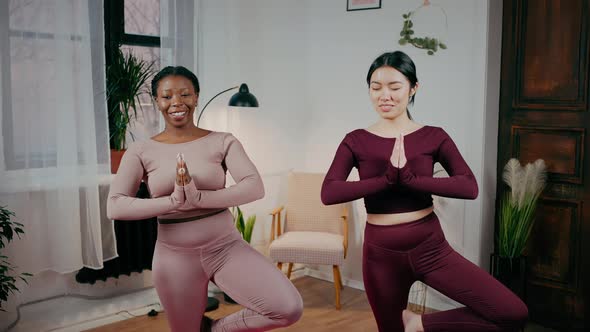 Zoom in Portrait of Two Happy Diverse Women Friends Practicing Yoga Together Standing in Tree Pose alt