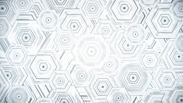 White Hexagonal Pattern