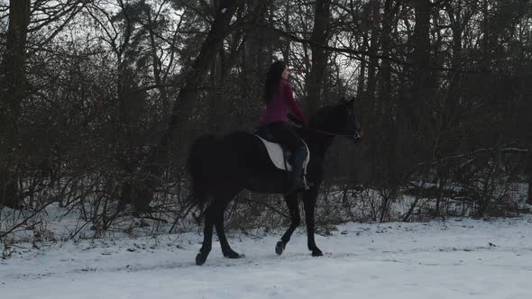 Young Brunette Woman Rides a Beautiful Black Horse on a Field or Snowcovered Farm in Winter alt