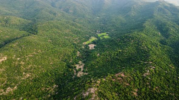Small green and vibrant rice terraces surrounded by forestry mountains, aerial view alt