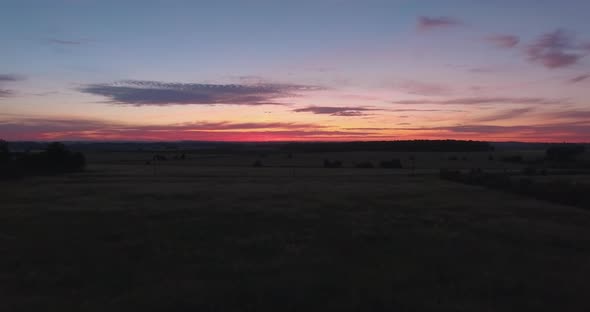 Grass with Orange-Filled Sky on Sunset alt