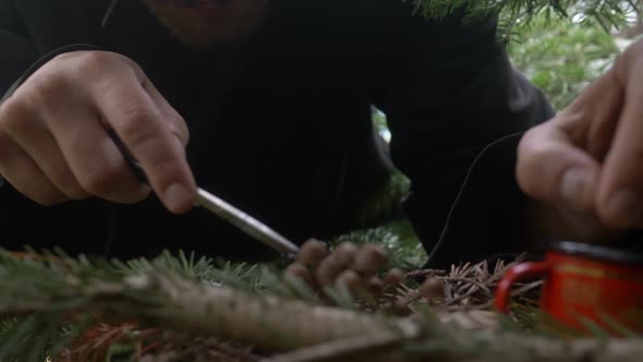 a Young Guy Collects Miniature Mushrooms in a Container alt