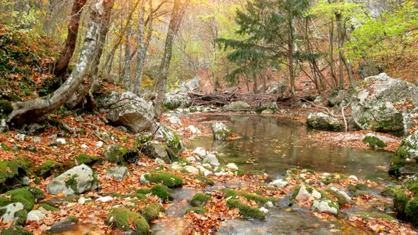 Lake in Autumn Forest