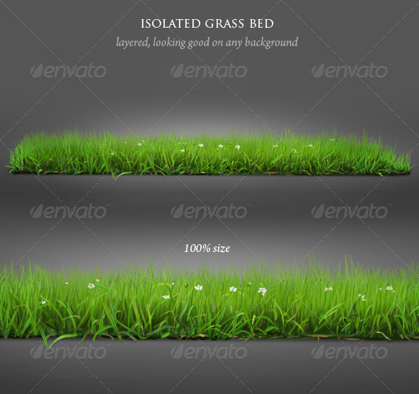 Isolated Grass